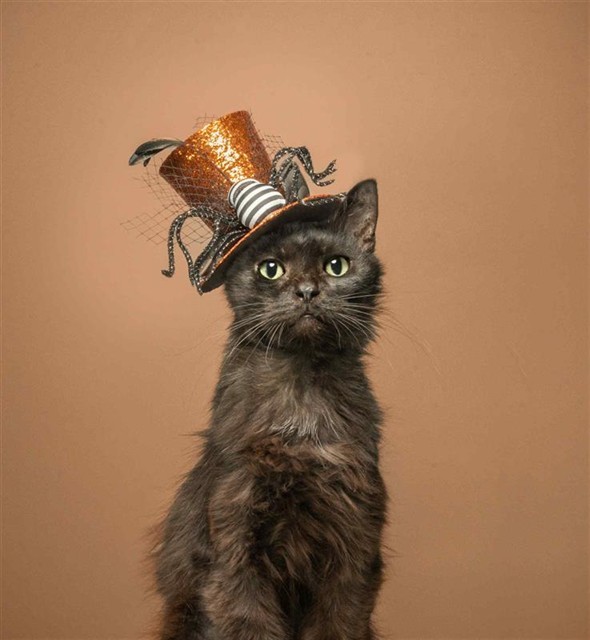 SALEM