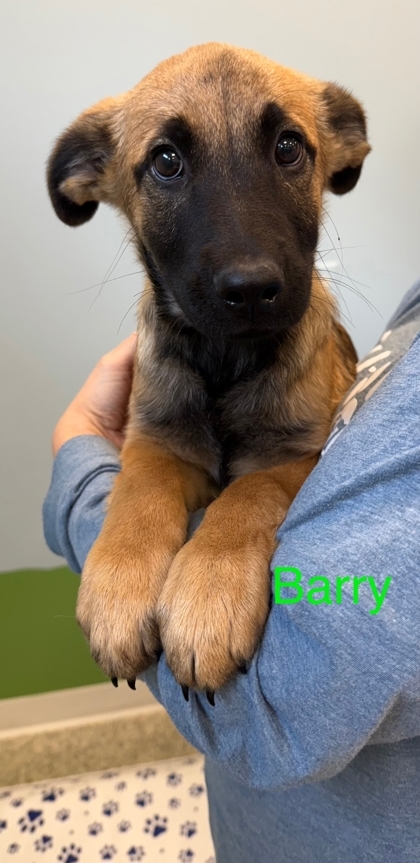 Barry