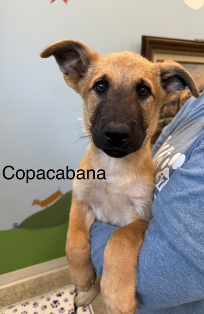 Copacabana