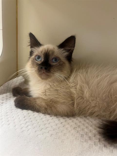 LUNA