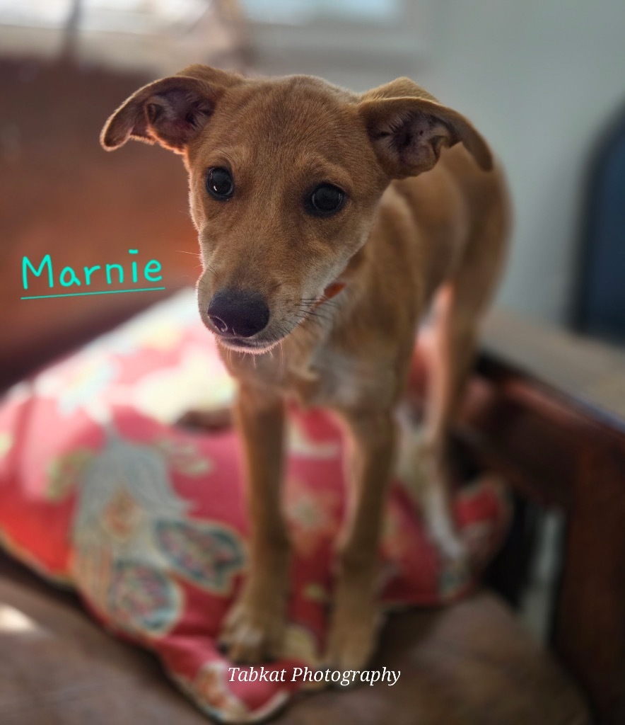 Marnie