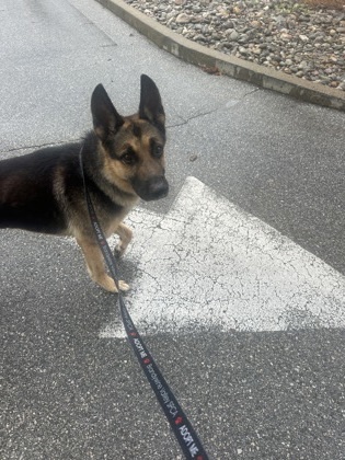 Axel