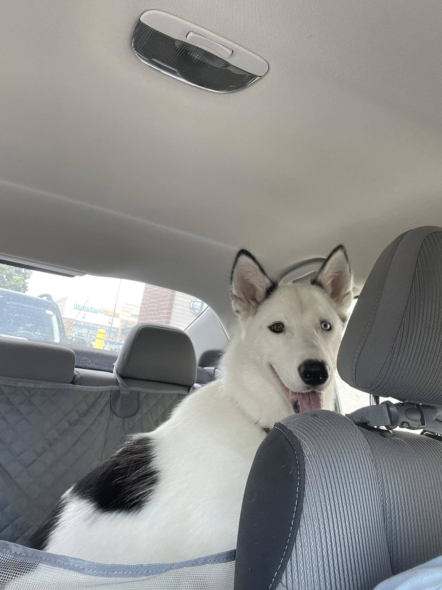 Luna