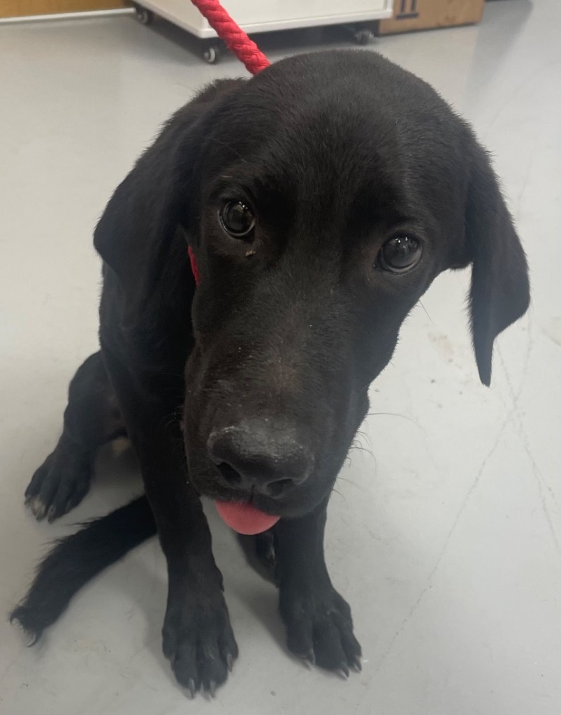Edgar (Ex3)