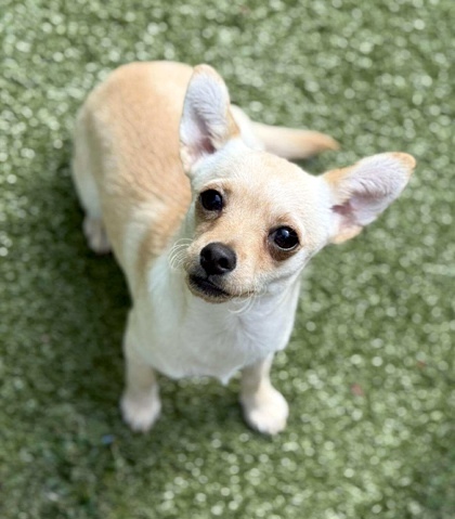 Winnie