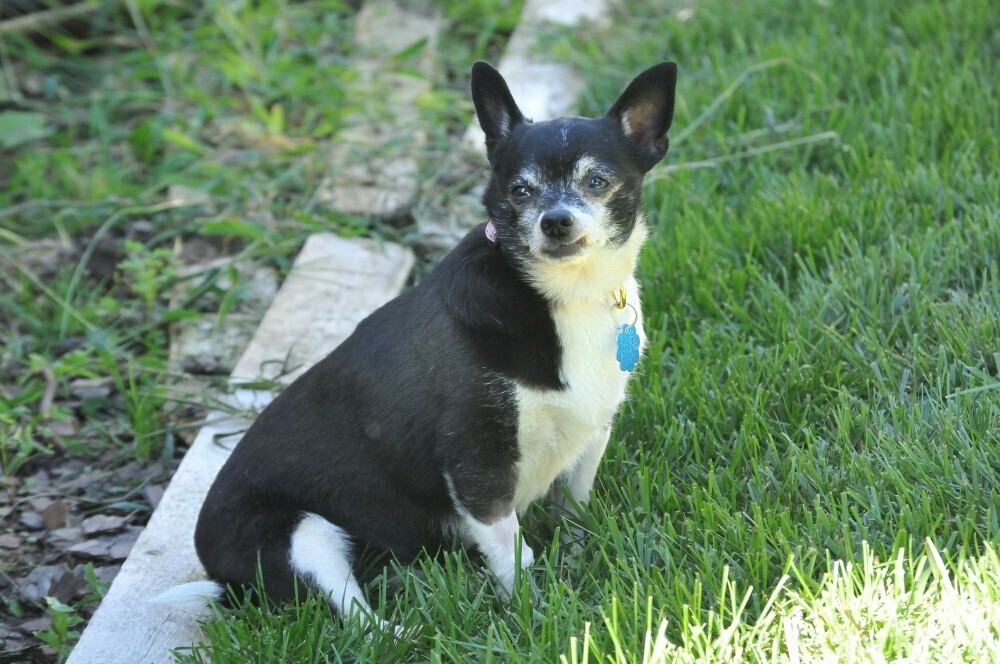 Zoey
