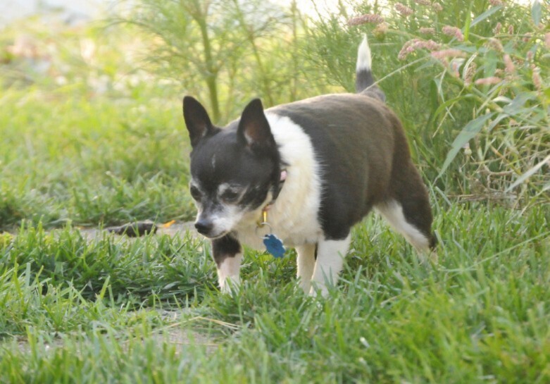 Zoey