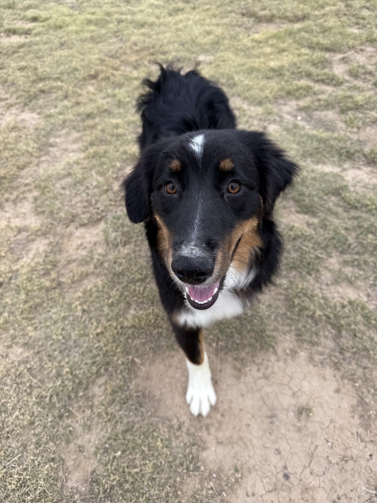 Cooper2