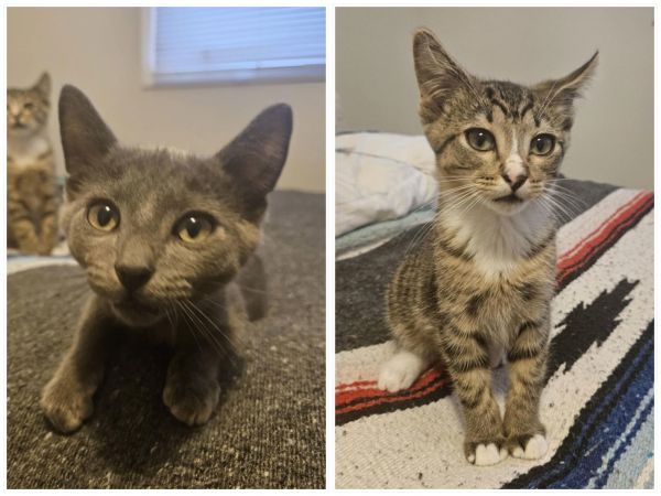 Larry &amp; Jerry photo 1