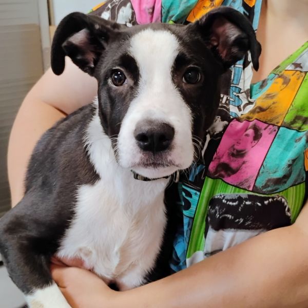 Meeka( Mattie)