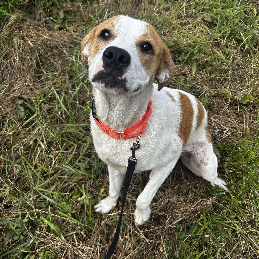 Molly