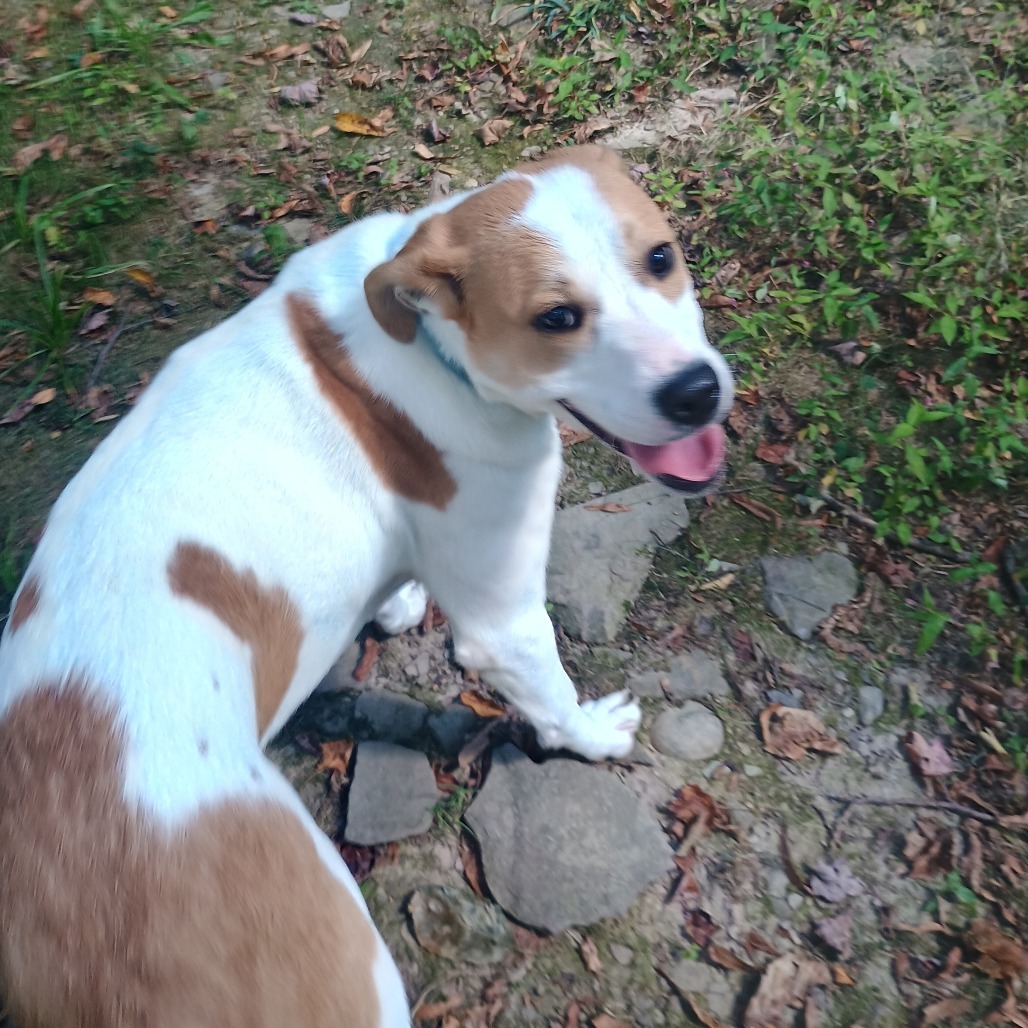 Molly