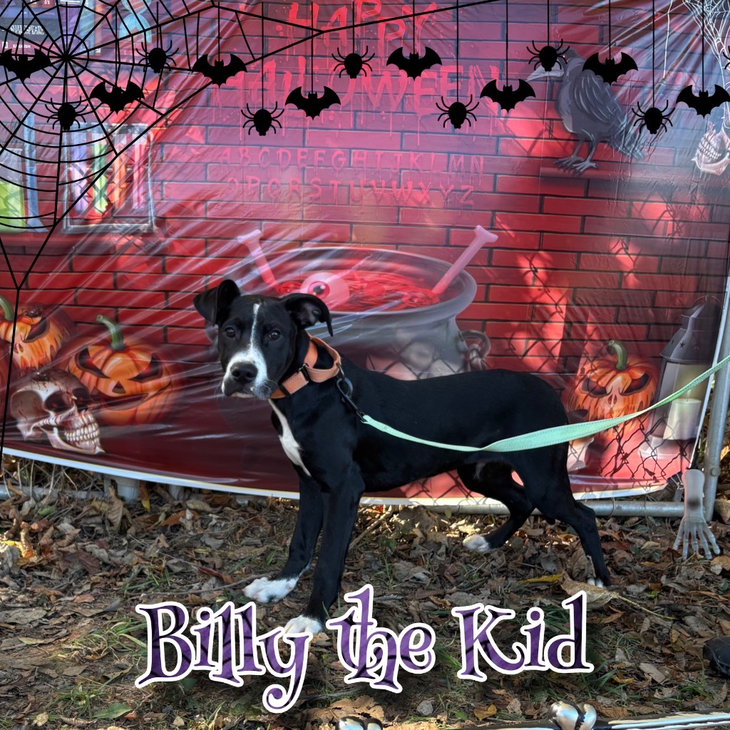 Billy the Kid