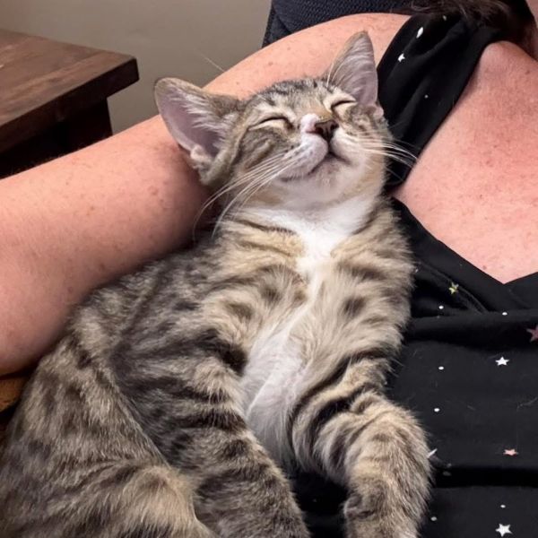 Fluffernutter