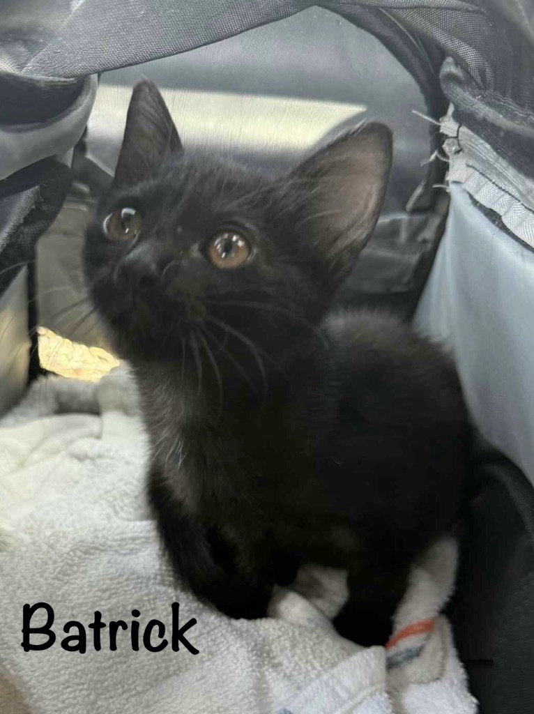 Batrick