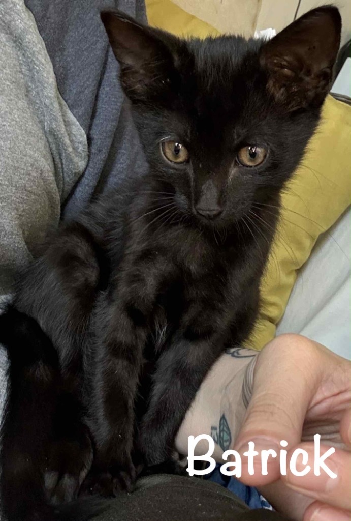 Batrick