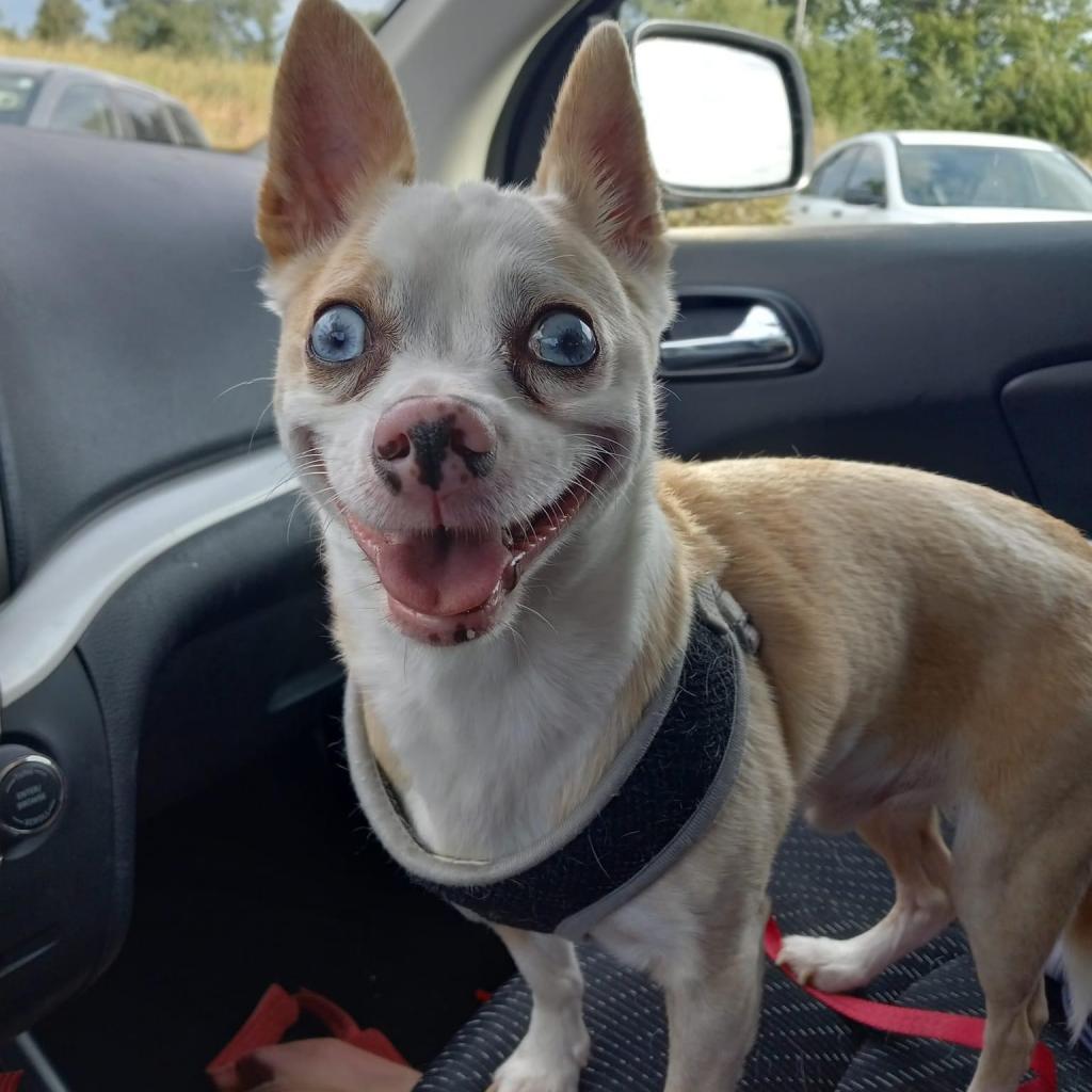 Sebastian