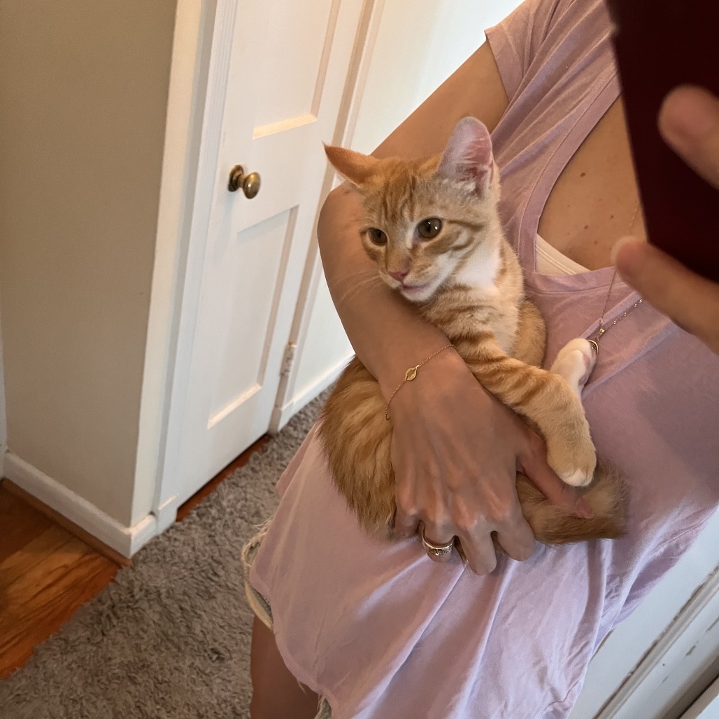 Ponzu (paired with Mirin)