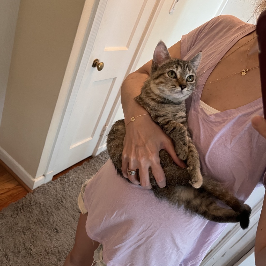 Mirin (paired with Ponzu)