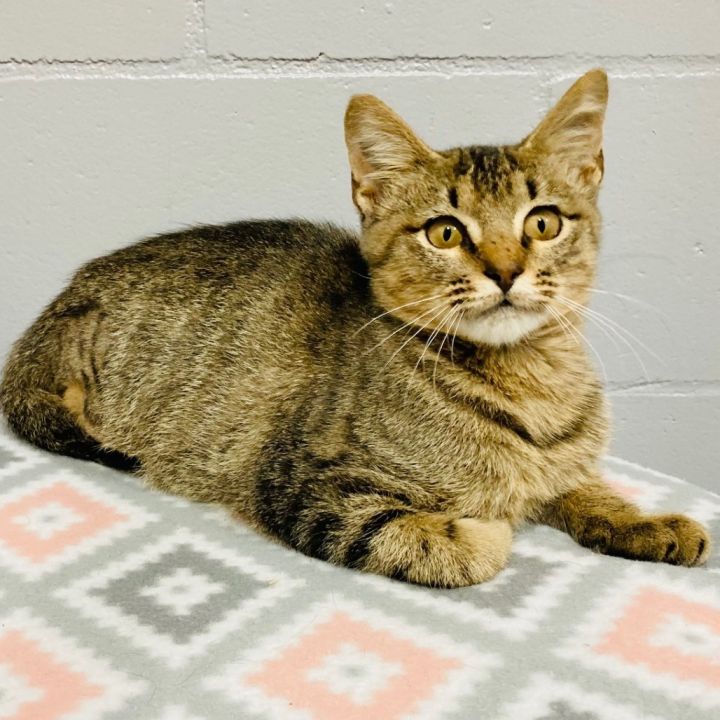 (PM) Miss Alignment 2