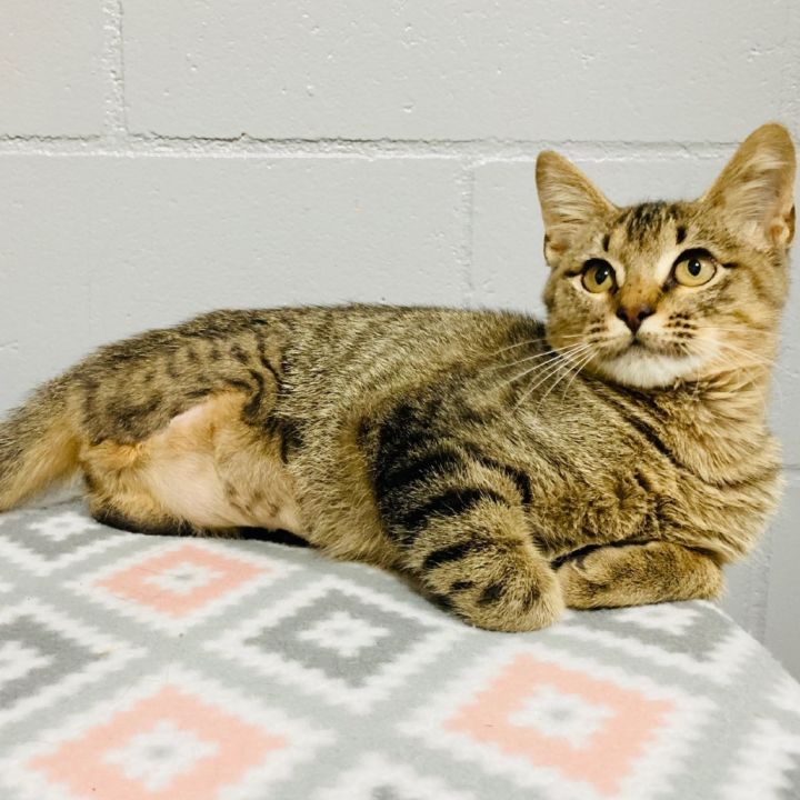 (PM) Miss Alignment 3