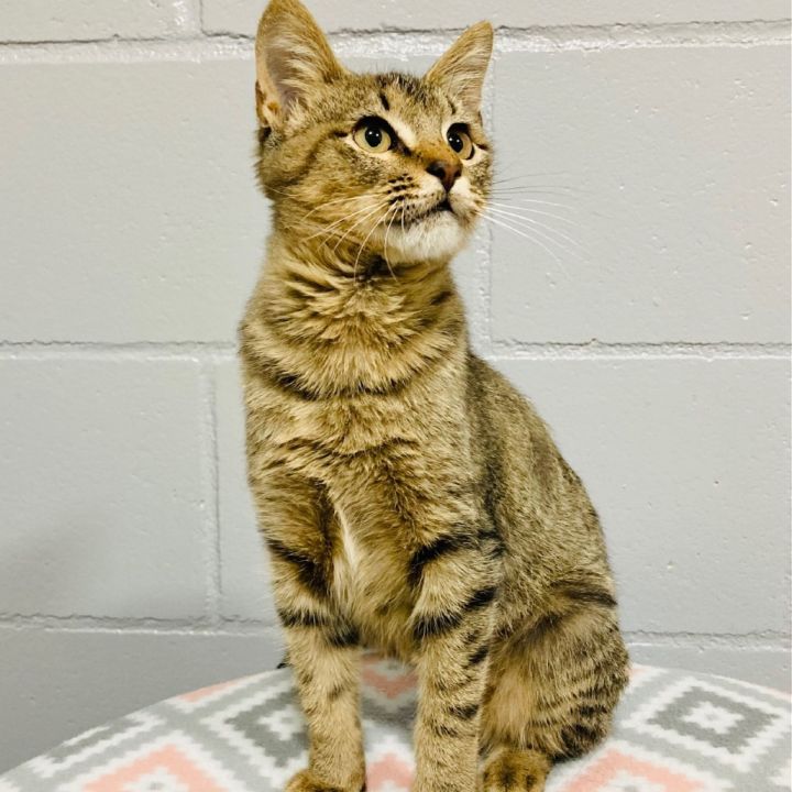 (PM) Miss Alignment 4