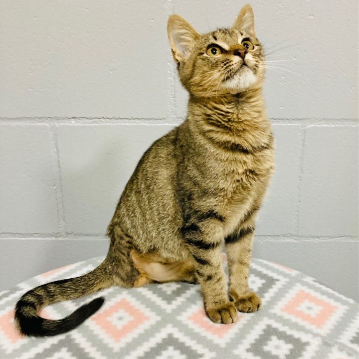 (PM) Miss Alignment 5