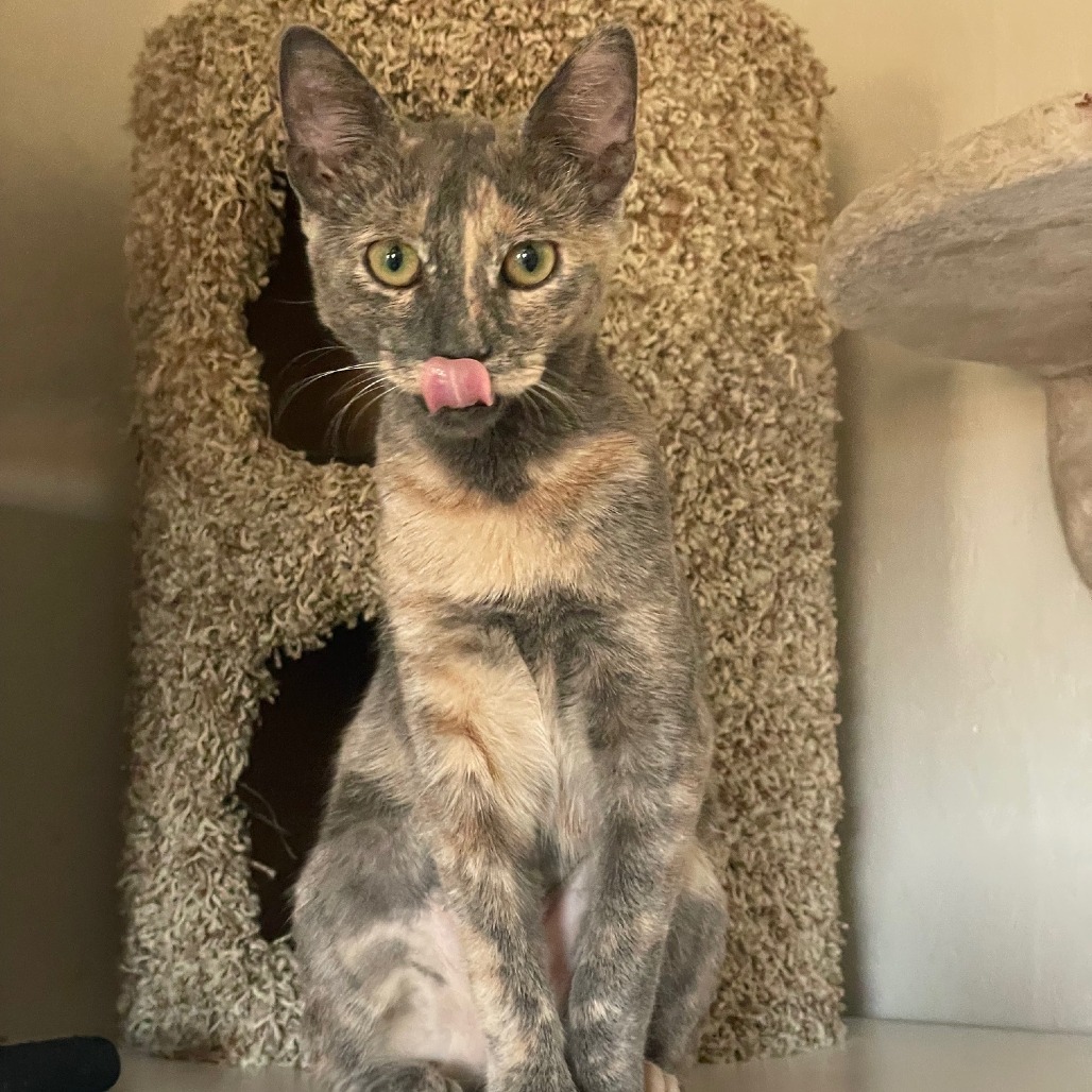 Bonnie