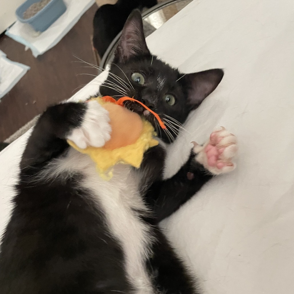Charles