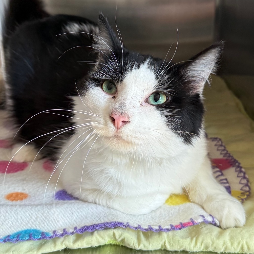 Chunk is at Petsmart GJ