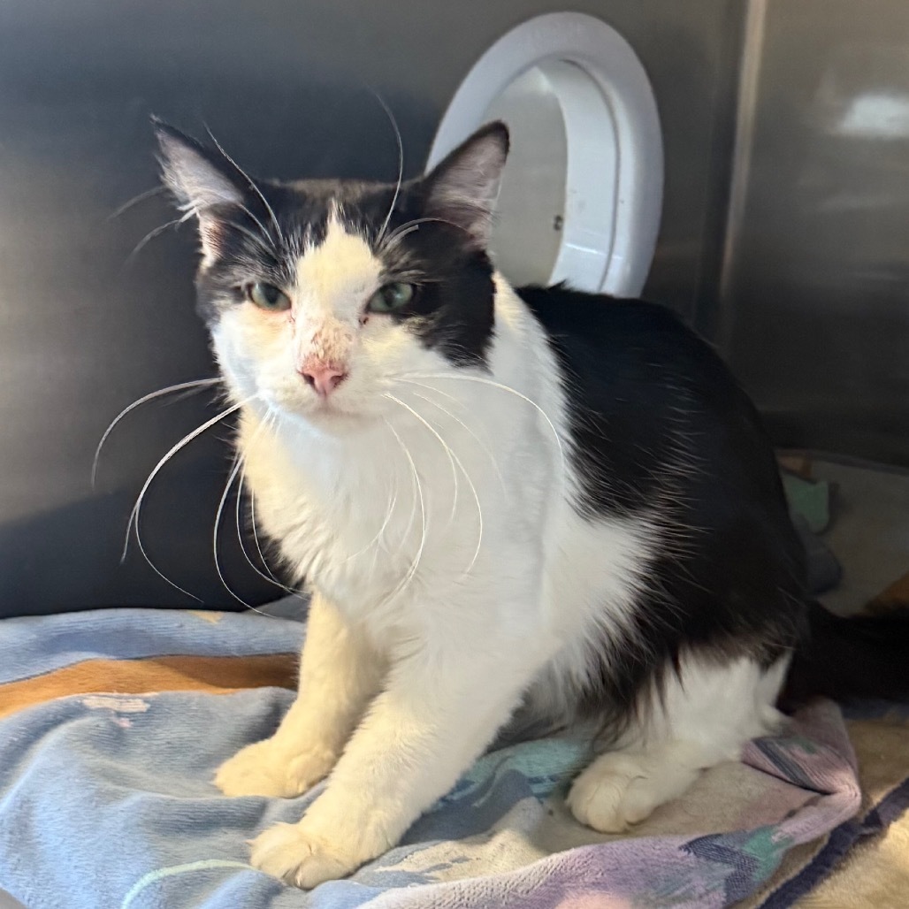 Chunk is at Petsmart GJ