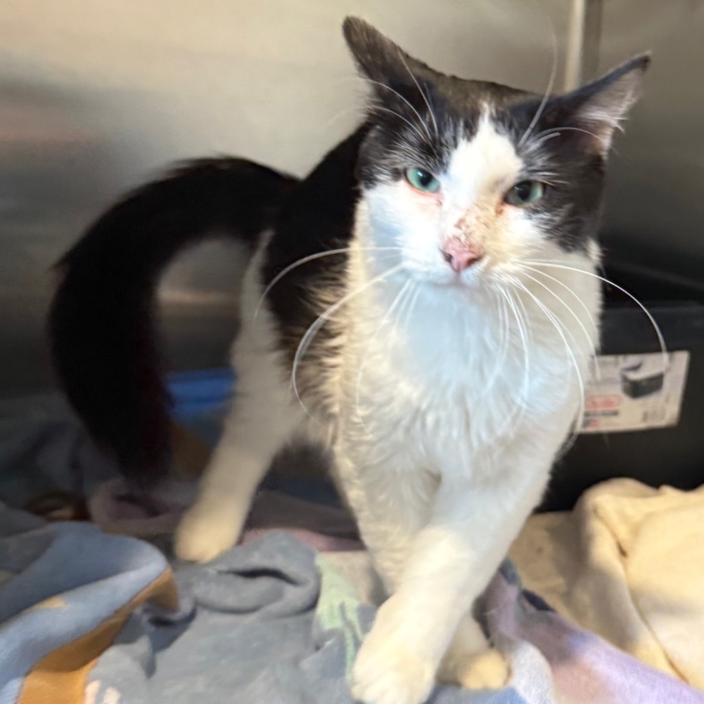 Chunk is at Petsmart GJ