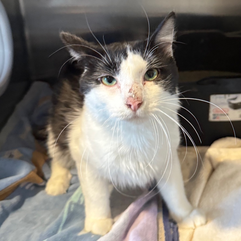 Chunk is at Petsmart GJ