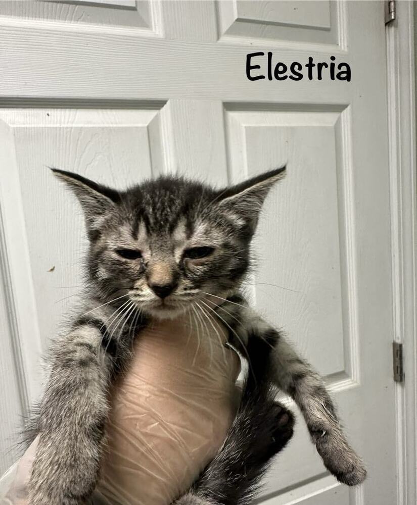 Elestria