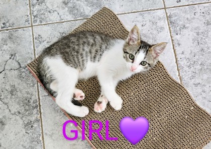 GIRL FOSTER