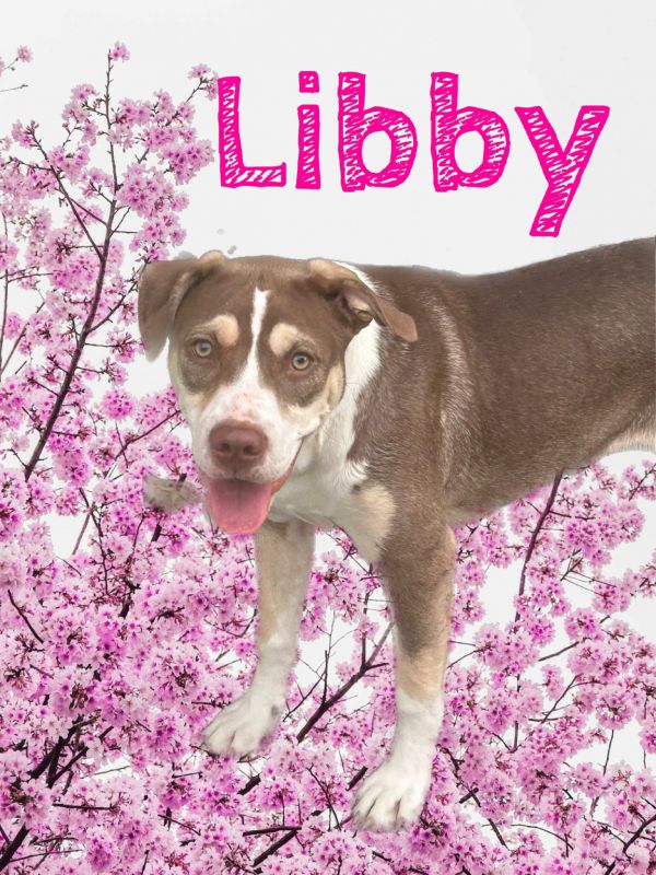 Montana Libby photo 1