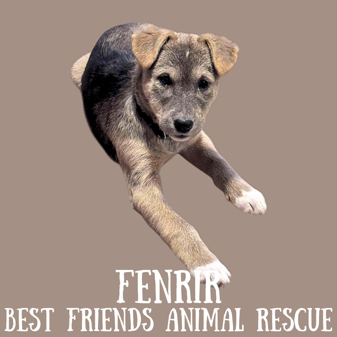 Fenrir