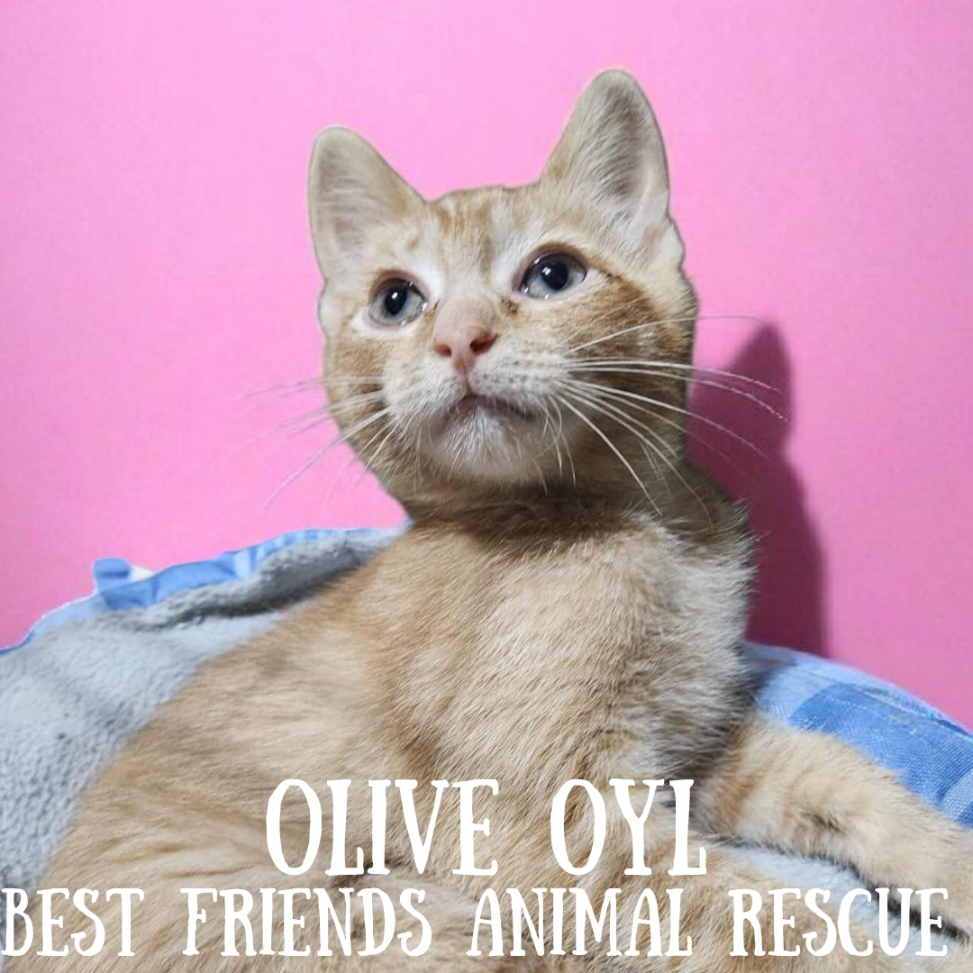 Olive Oyl