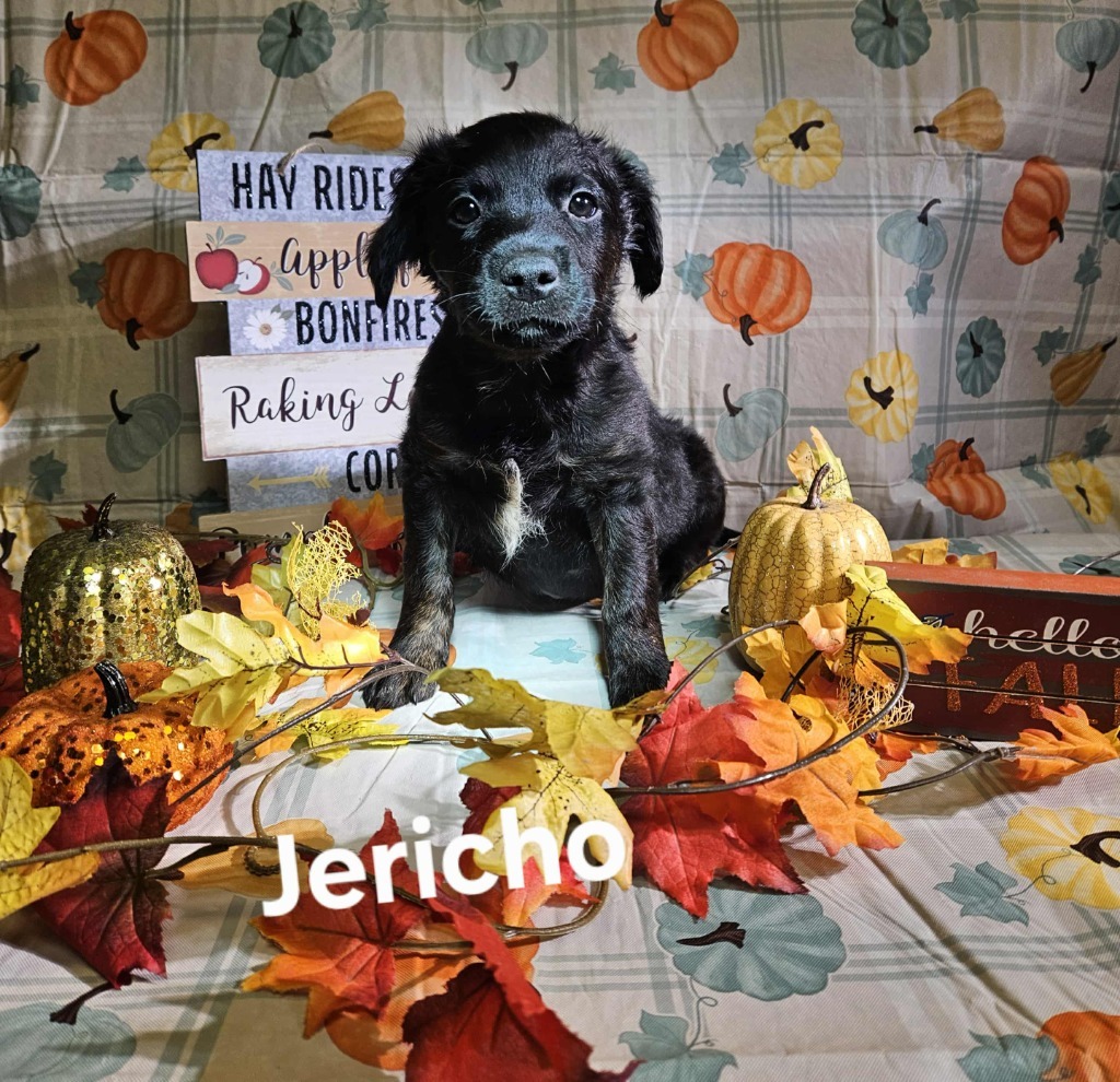 Jericho