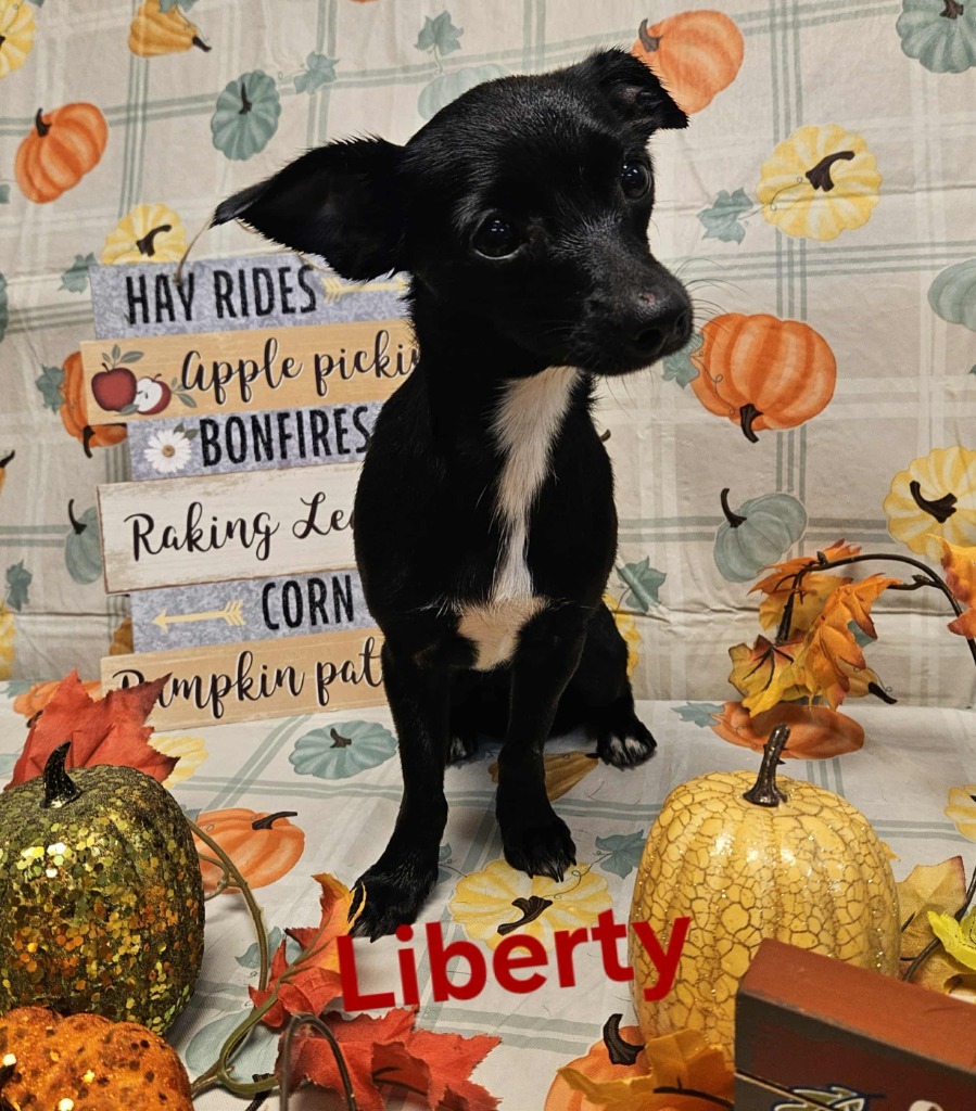 Liberty