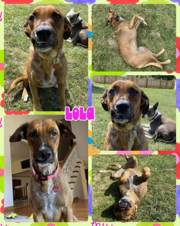 Lola