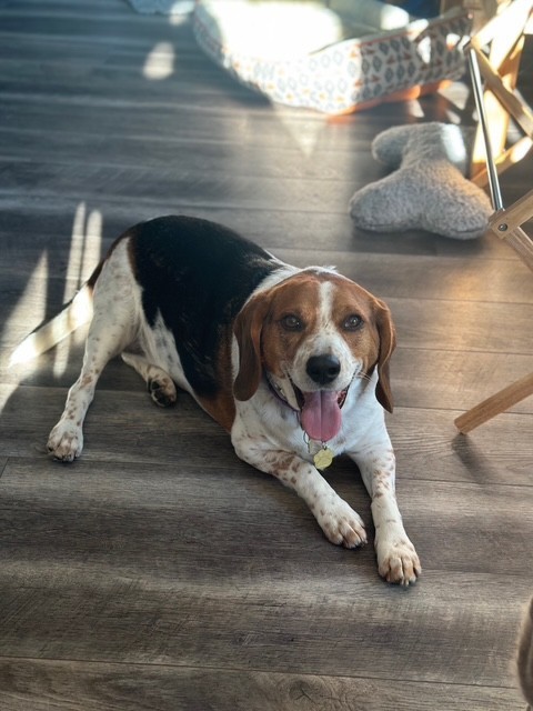 Rudy