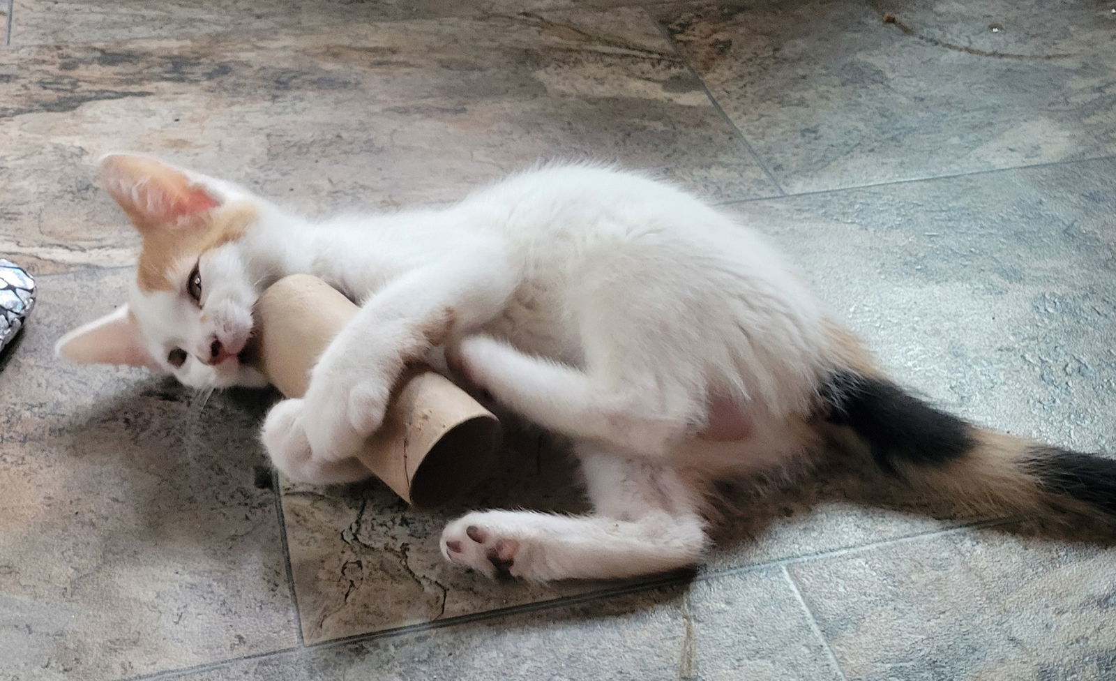 Rosie