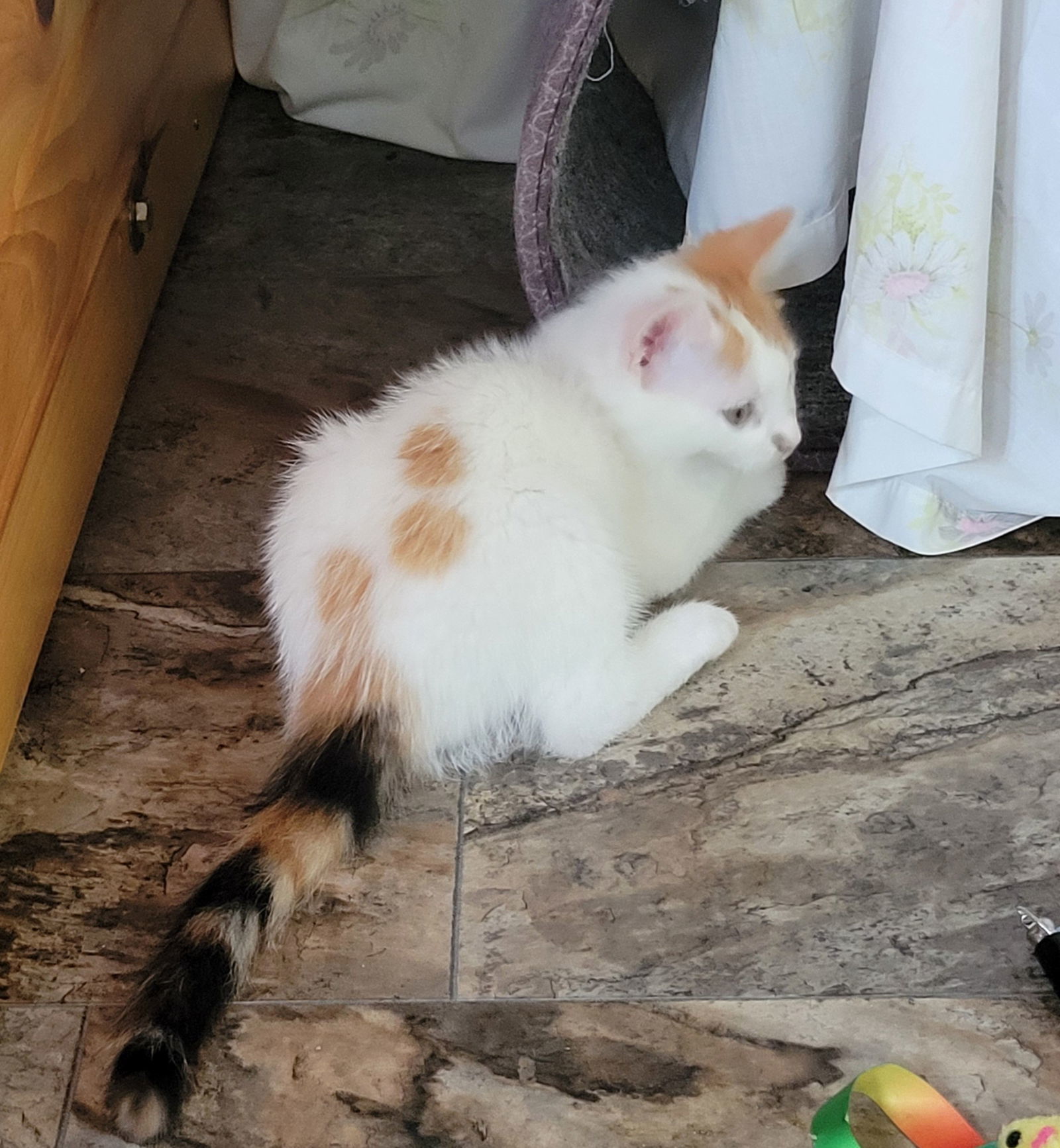 Rosie