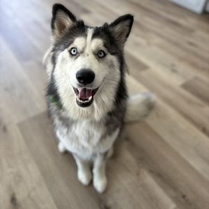 Aspen