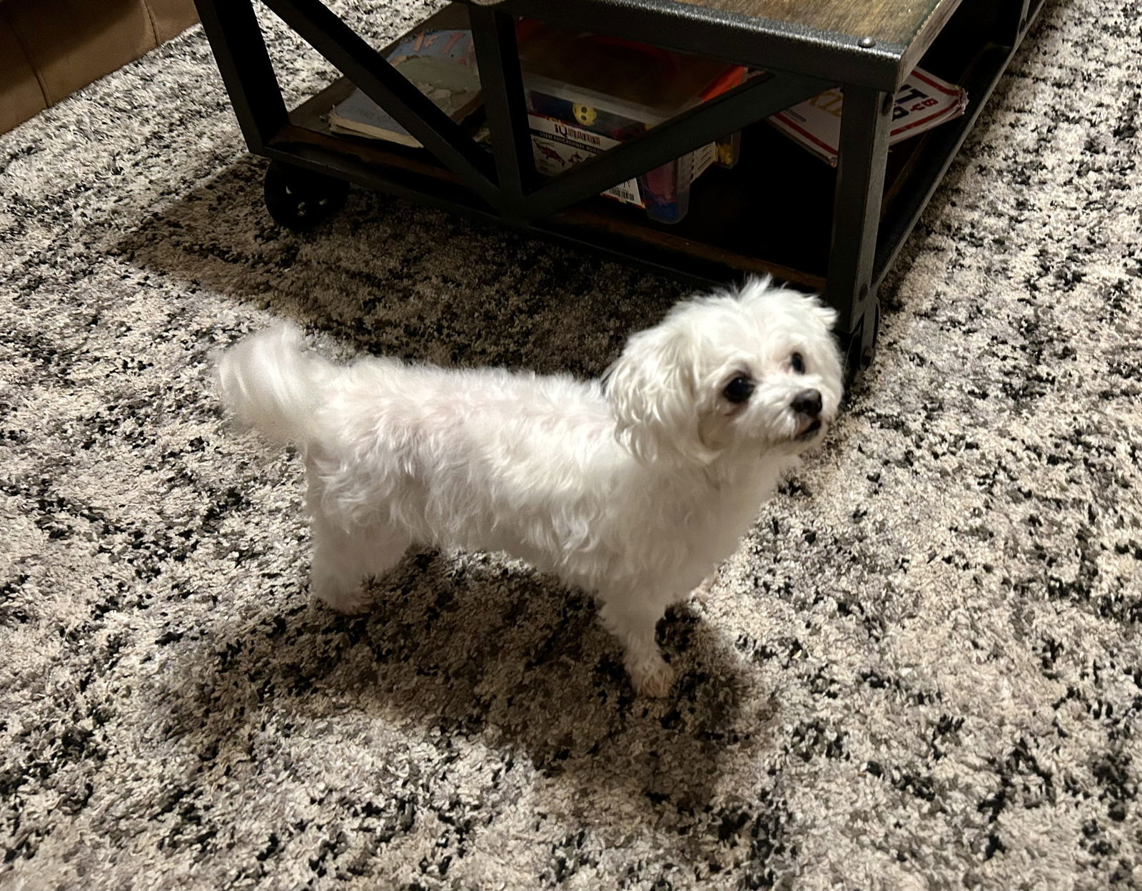 Precious