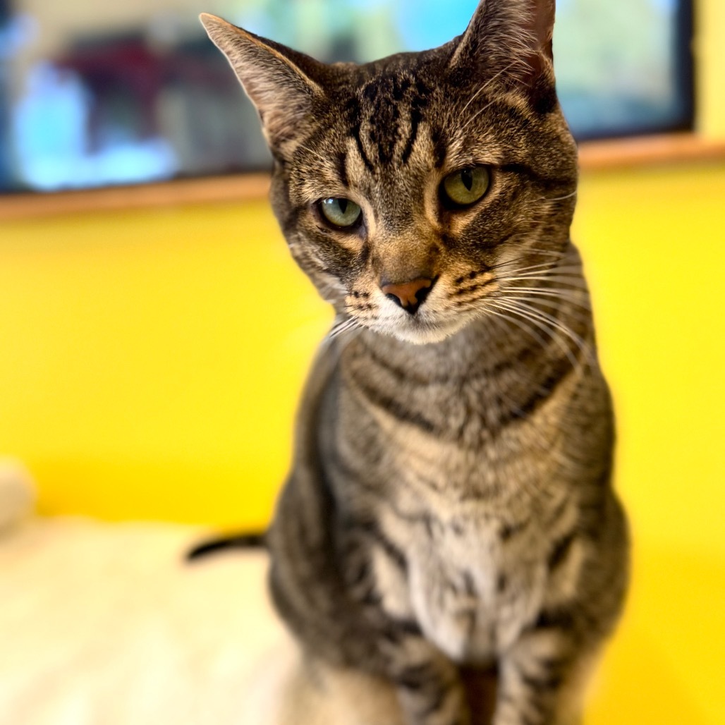 Fernando