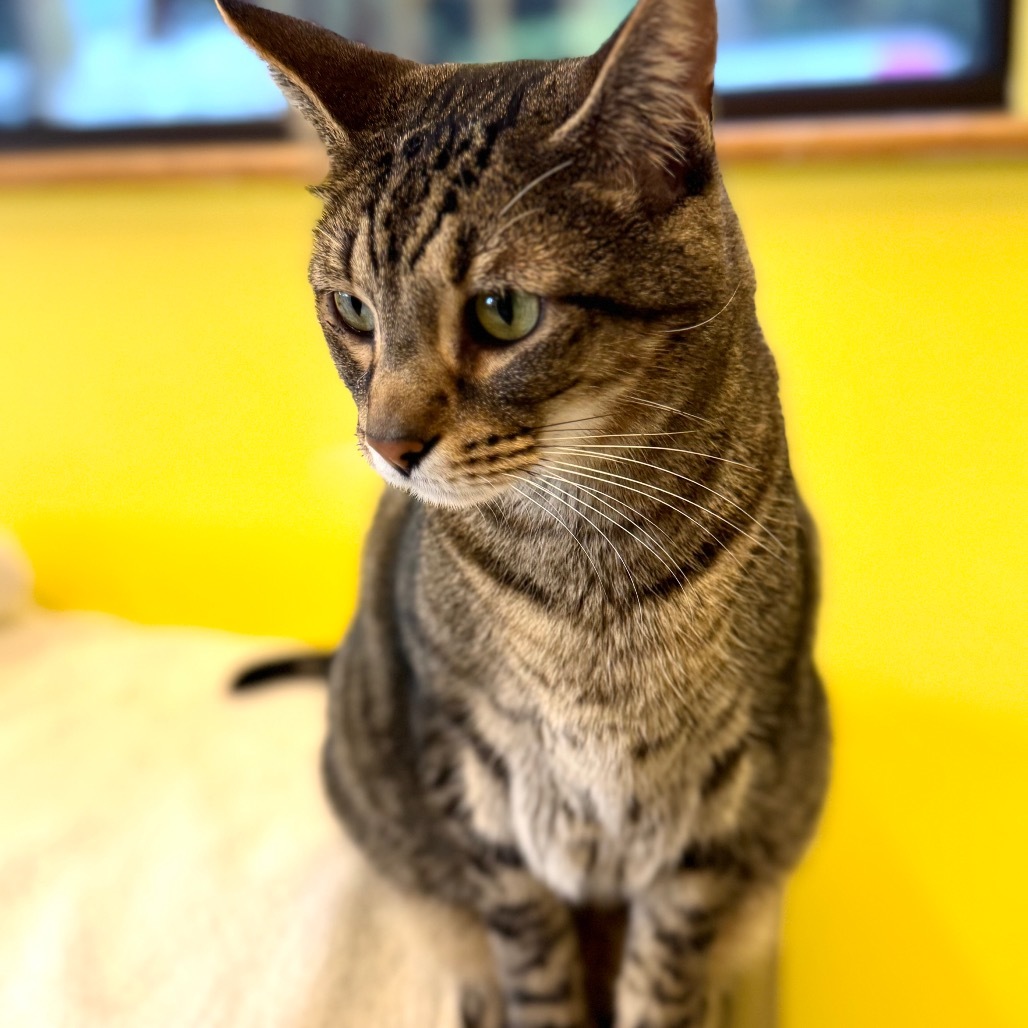 Fernando