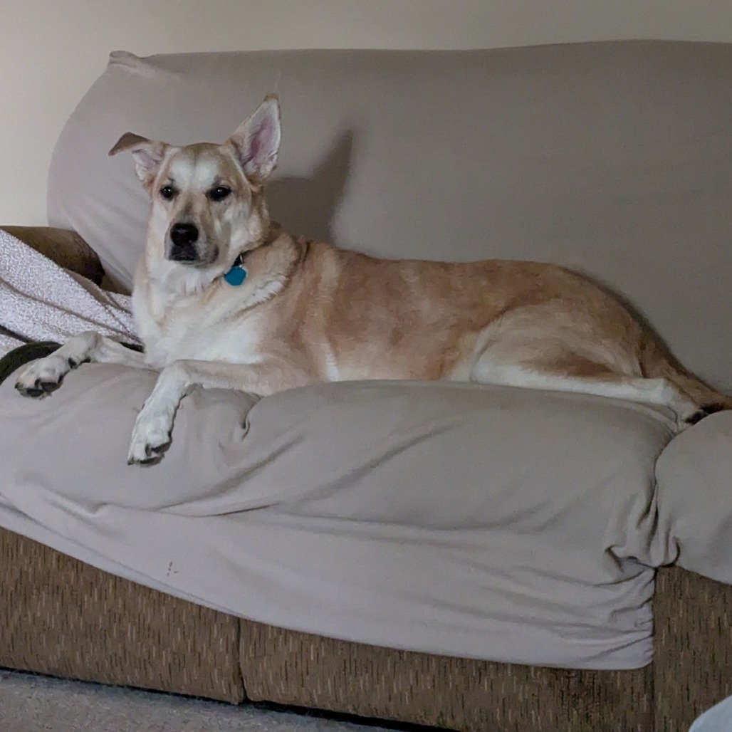 Maya