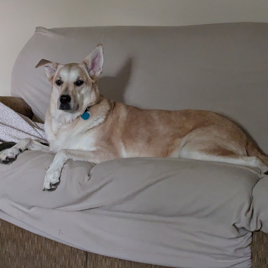 Maya